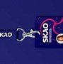 Image result for Skao