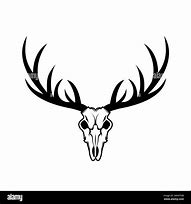 Image result for Deer Skull without Antlers