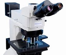 Image result for Transmitted Light Microscope