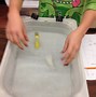 Image result for Water Resistance for Kids