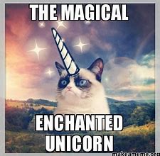 Image result for Unicorn Magic Meme