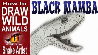 Image result for How to Draw a Black Mamba