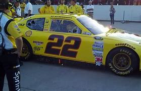 Image result for NASCAR 22-Season Cars