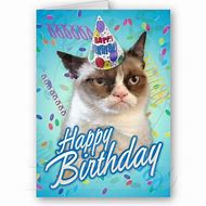 Image result for Grumpy Cat Birthday Crappy