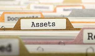 Image result for Assets Graphic No Background