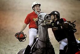 Image result for Horse Ball Game