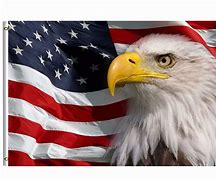 Image result for American Eagle with American Flag Pin