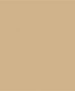 Image result for Tan Colored Background