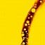 Image result for Yellow iPhone 11 Wallpaper