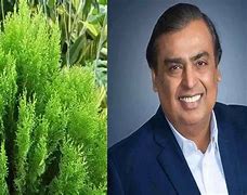 Image result for Mukesh Ambani Home Interior