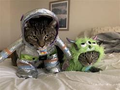 Image result for Cat in Space Mem