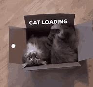 Image result for Cat Loading Image. Meme