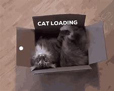 Image result for Loading Kitten Meme