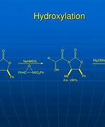 Image result for Hydroxylation Reaction
