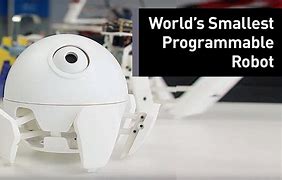 Image result for World's Smallest Robot