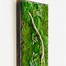 Image result for Moss Wall