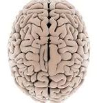 Image result for Sharp Brain
