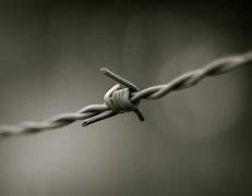 Image result for Barbed Wire Vector Art