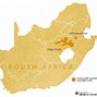 Image result for South African Dragon Lizard