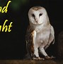Image result for Good Night Birds