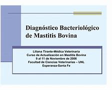 Image result for bacteriol�gico