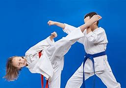 Image result for Different Martial Arts