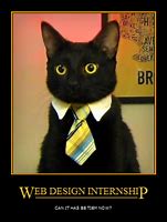 Image result for Professional Cat Meme