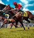 Image result for Horse Racing Movies