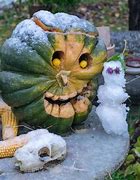 Image result for Snow Pumpkin