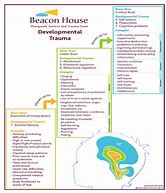 Image result for Basic Diagram About Trauma and the Brain