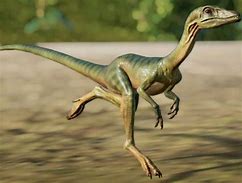 Image result for small dinosaurs