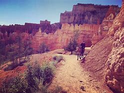 Image result for Butch Cassidy and the Sundance Kid Cover Art