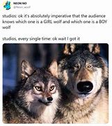 Image result for Boy Wolf Girl Wolf Meme