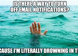 Image result for Forward Email Meme