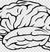 Image result for Adolescent Brain ClipArt