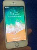 Image result for iPhone 5 SE Unlocked