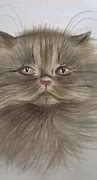 Image result for Persian Cat Drawing