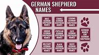 Image result for German Dog Names Male