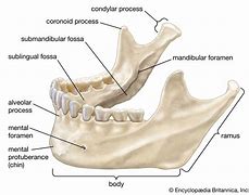 Image result for Small Jawbone