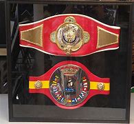 Image result for Boxing Belt Display Box