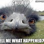 Image result for Cheer Up Funny
