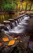 Image result for Stepping Stones Ireland