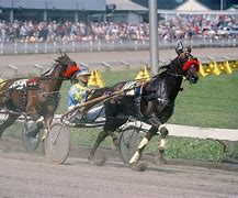Image result for Standardbred Racing Canada