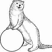 Image result for Printable Otter Pictures