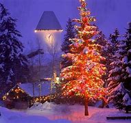 Image result for Beautiful Christmas Winter Scenery