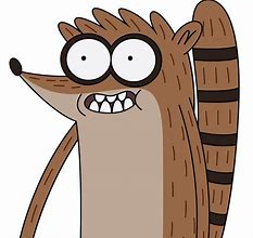 Image result for Rigby Character