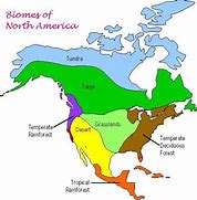 Image result for north america biomes