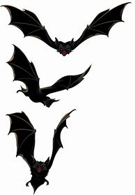 Image result for Transparent Bat Shadow