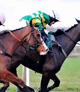 Image result for White Horse Racing