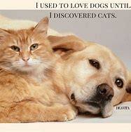 Image result for Funny Quotes About Dogs and Cats